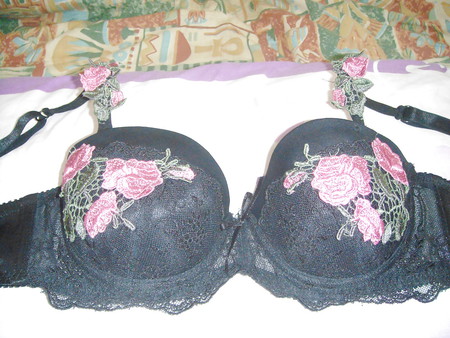 My Personal Bra Collection