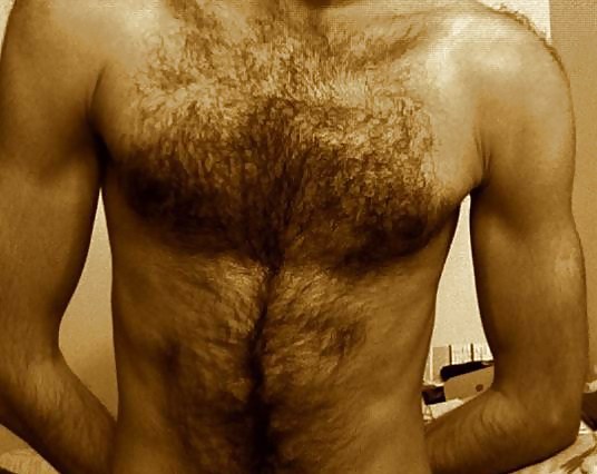 Porn Pics sexy hairy chest