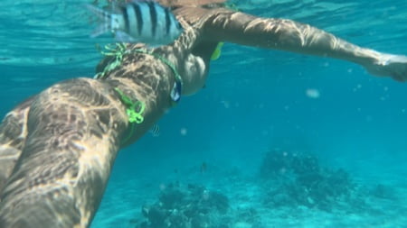 rate my naked diving experience         