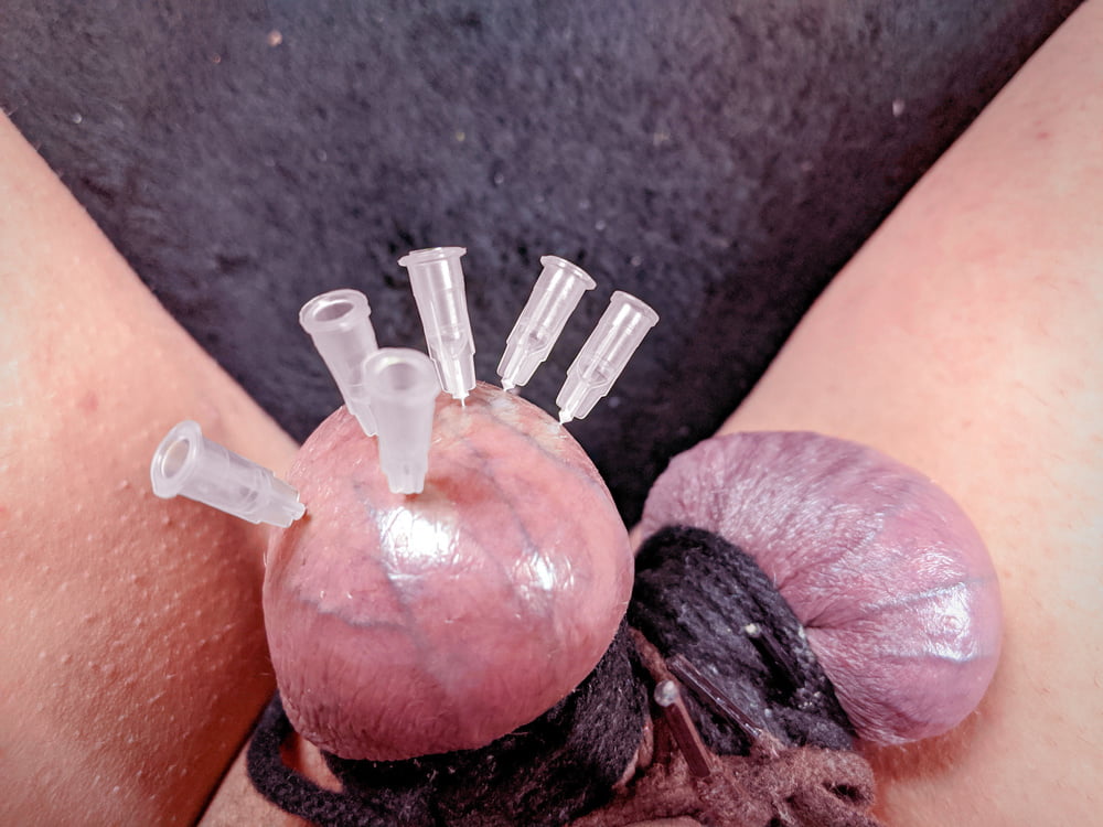 Testicle Skewering Needles In Balls Cbt Session 20 Pics Xhamster