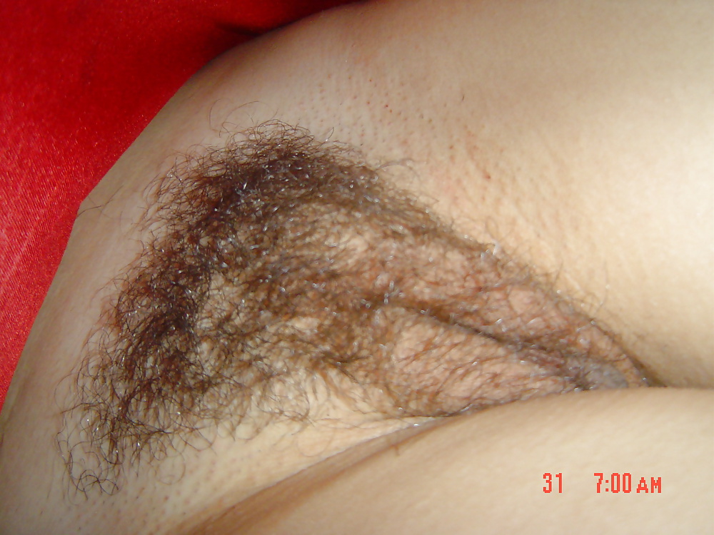 Porn Pics my hairy wife 4
