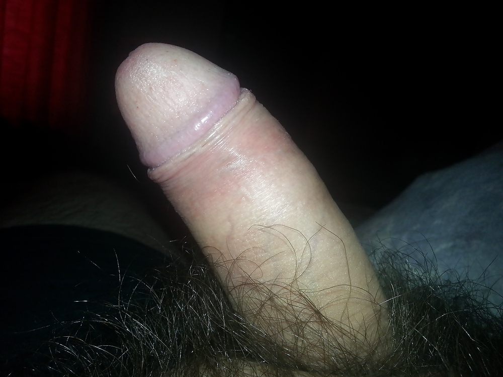 Porn Pics My hairy dick