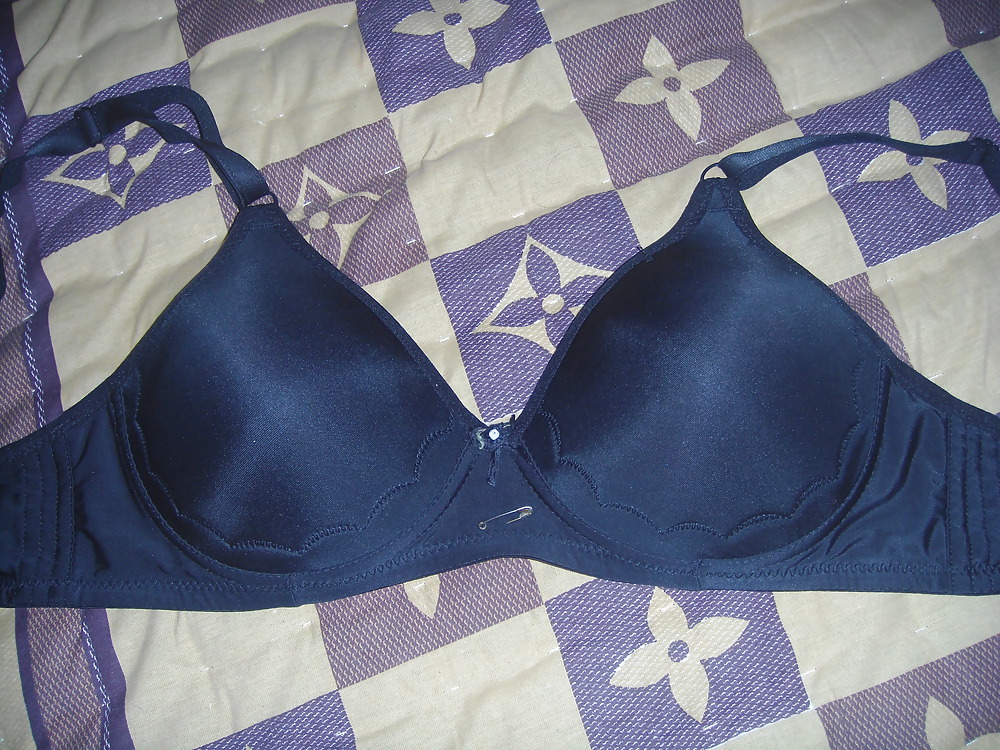 Porn Pics My Personal Bra Collection