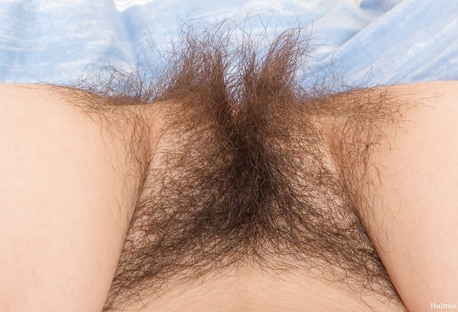 Porn Pics Hairy Pussy Mix 4