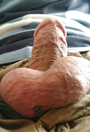 My Dick cock