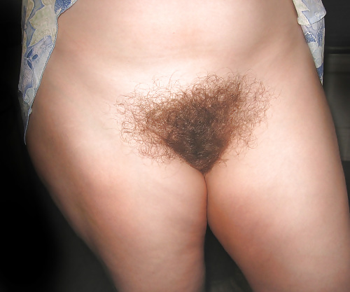 Porn Pics Chicks with Slits, Bush, and Curves.