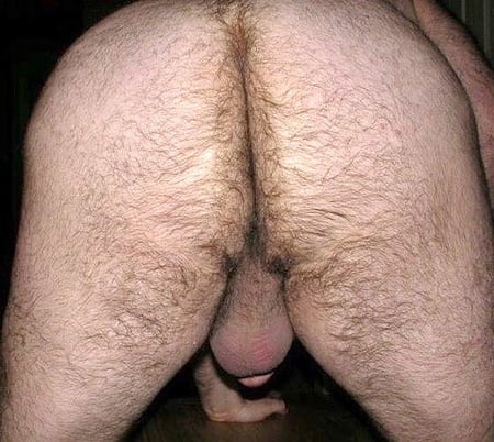 450px x 402px - Chubby Hairy Asshole | Niche Top Mature