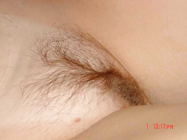 Porn Pics HAIRY PUSSY 2