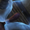 Porno Game 3d