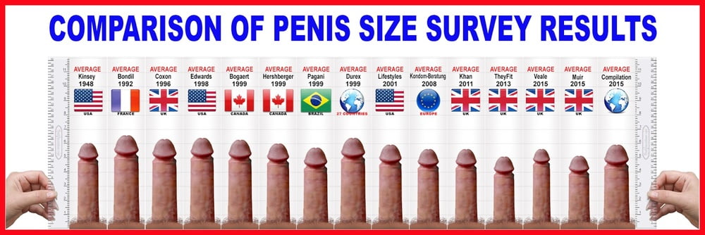 How Does An Average Man's Penis Compare To A Horse Penis In Size.