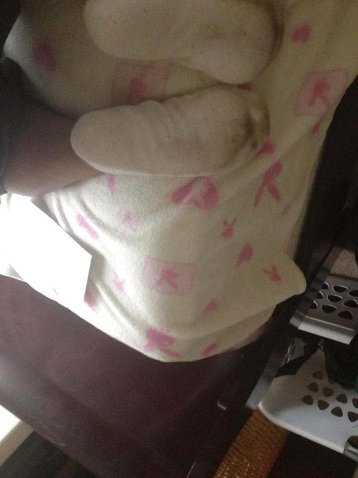 Porn Pics Super Stinky socked feet