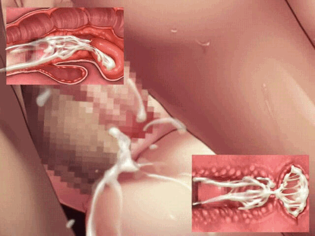 Camera inside of the vagina during sex in missionary position. 