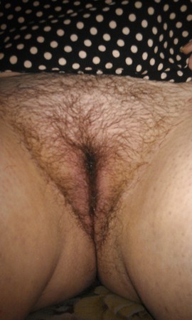 hairy pussy and belly