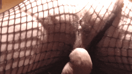 Taste it  #12