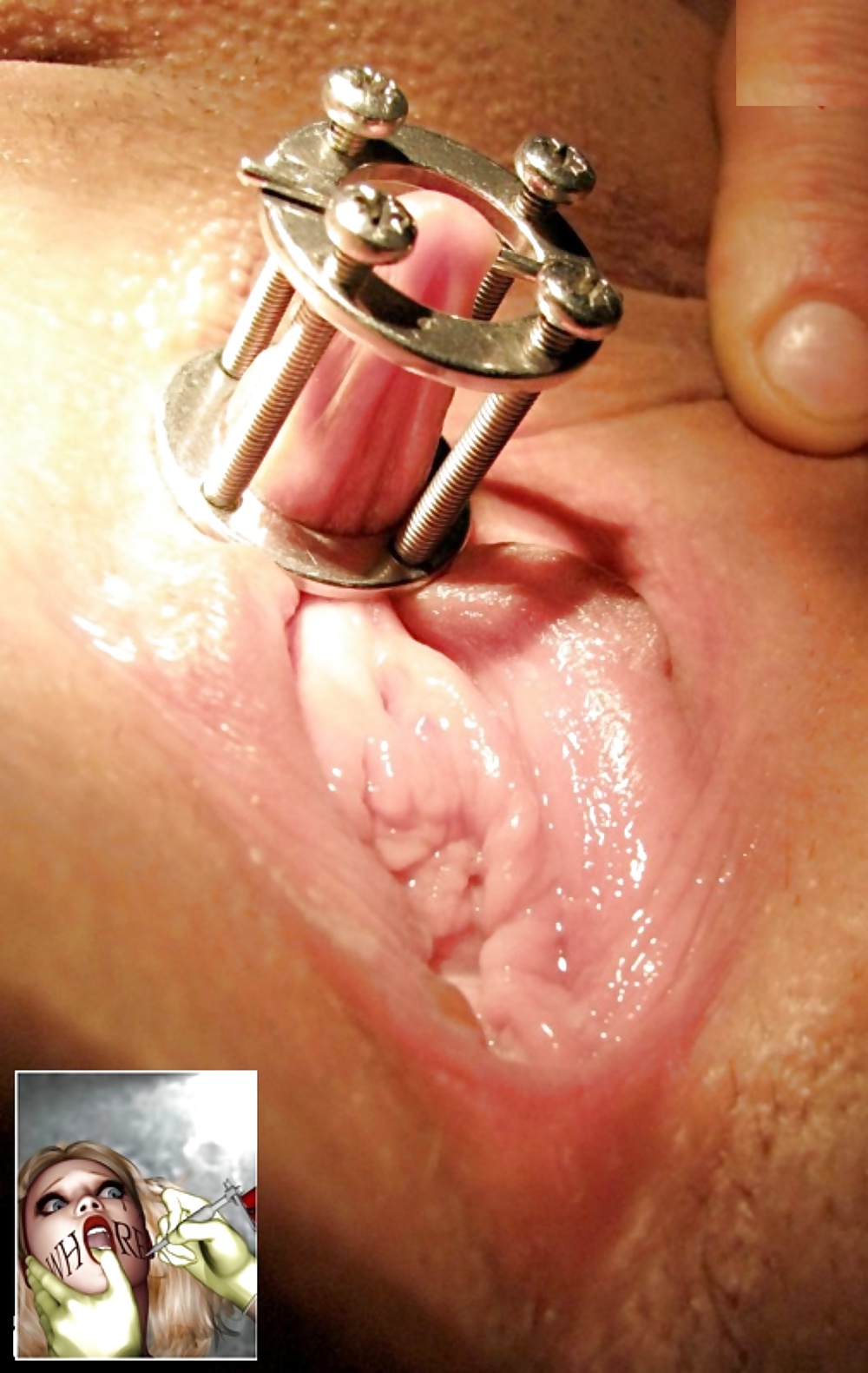 Porn Pics Allwhores 72