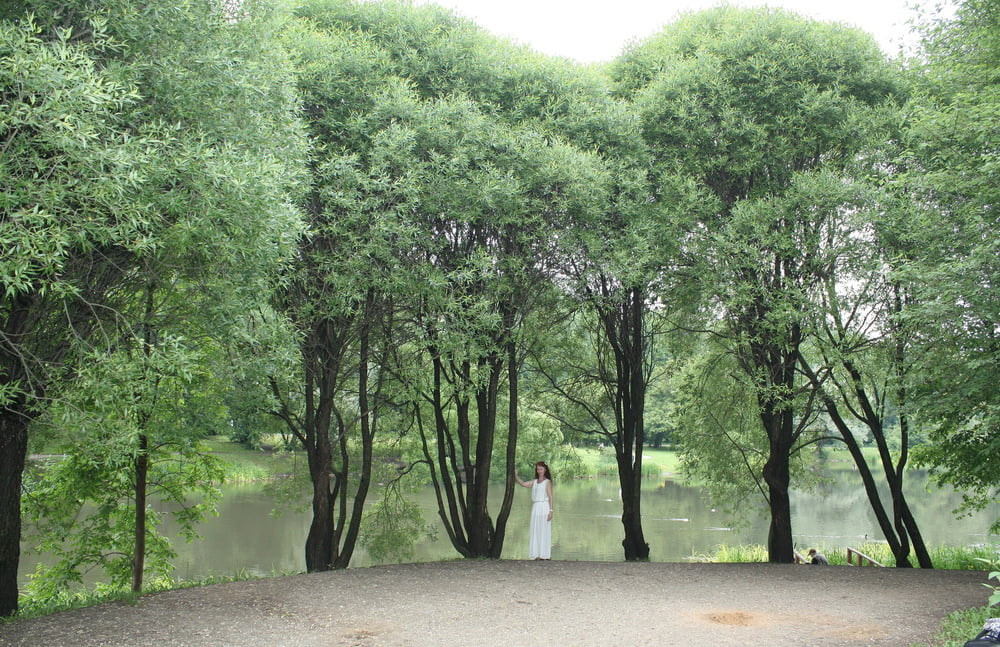 In Ostankino-Park  