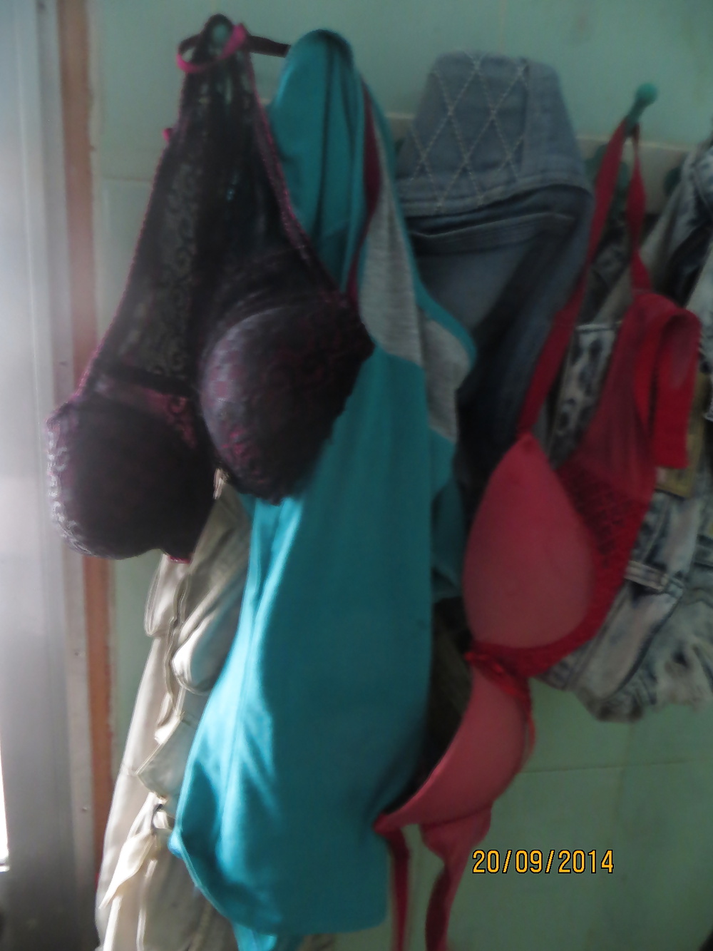 Porn Pics Dirty panties & bras of my older cousin 20-09-2014