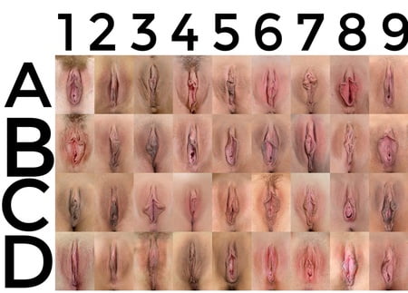 Vagina Collage 12