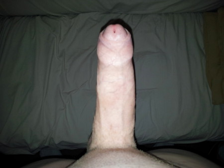 my fresh trimmed dick boner erection.