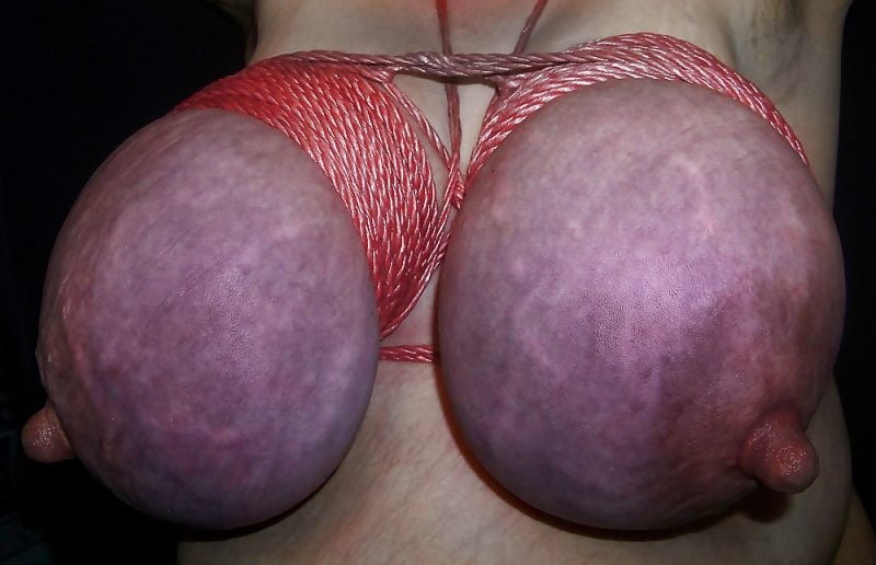 Breast Bondage Tied Tits 1 - 20 Photos 