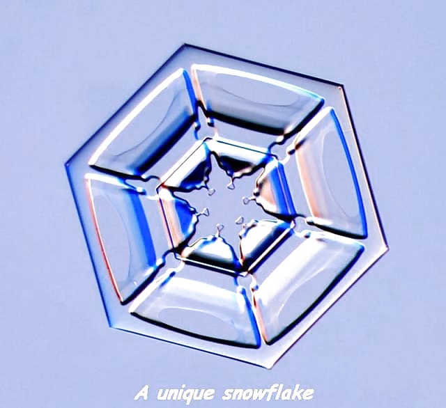 Porn Pics Girls and Diverses 120