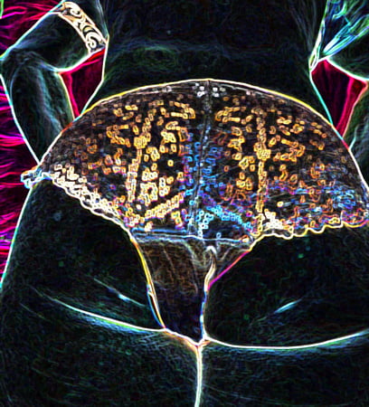 luminous contours of legs heels and ass         