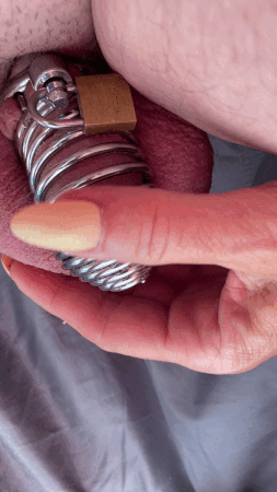 femdom chastity sissy #39