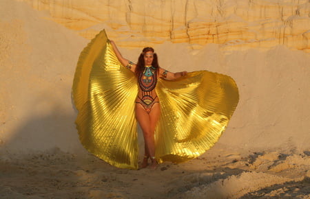 with golden wings on setting sun         