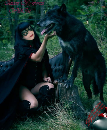 wildcat in silenthimans imagination         