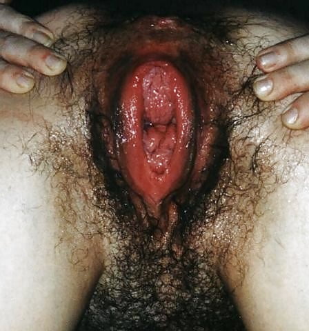 Porn Pics Hairy Moms 4