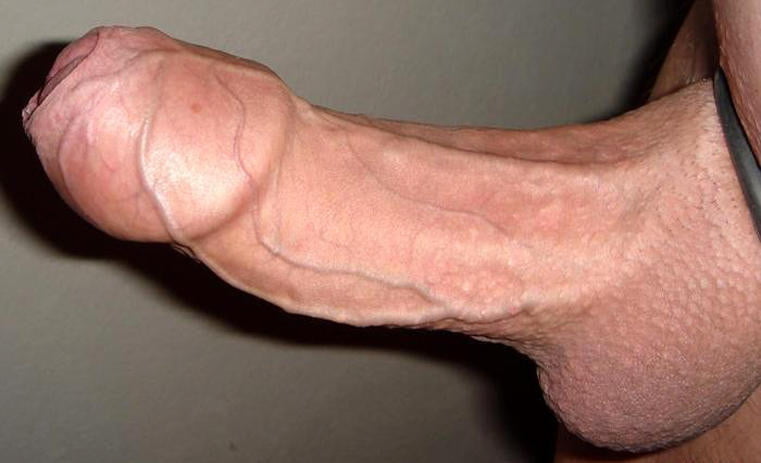 Uncut Cock Images