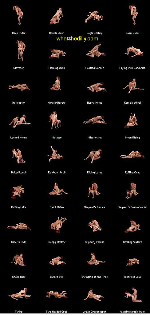 Porn Pics Sex Positions 2