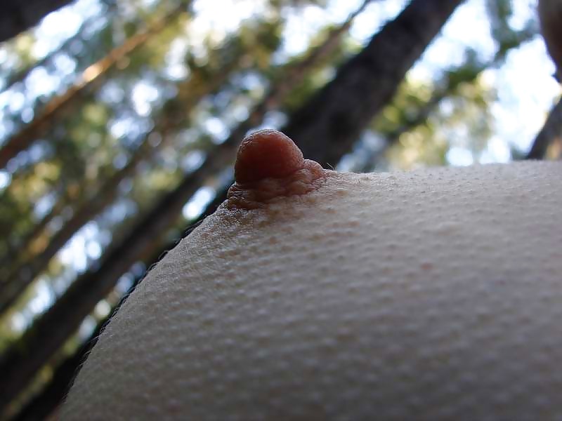 Porn Pics Nipples